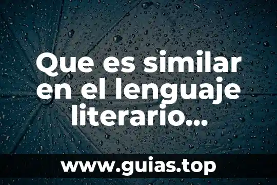 Que es un texto literario tipos y sus caracteristicas 8 Que es similar en el lenguaje literario ejemplos