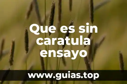 Caratula de datos bancarios que es 4 Que es sin caratula ensayo