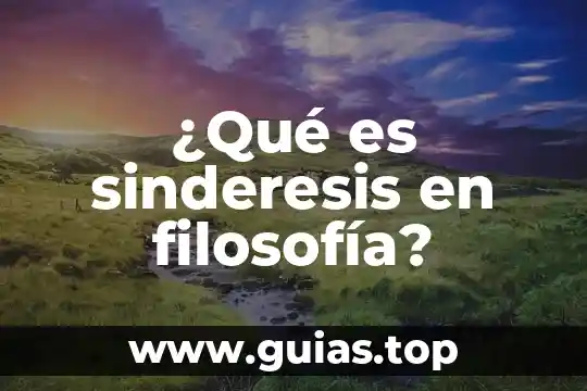 Qué es autodeterminación en filosofía 5 ¿Qué es sinderesis en filosofía?