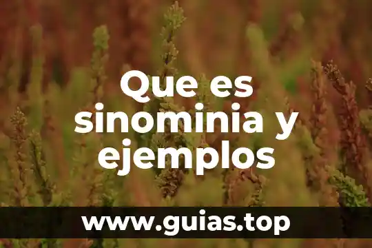 Ejemplos sencillos que es el paradigma de la complejidad 4 Que es sinominia y ejemplos
