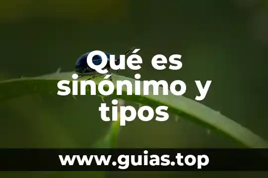 Que es la estalactita tipos 8 Qué es sinónimo y tipos