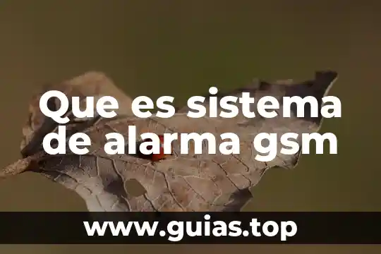 Alarma personal para que es 5 Que es sistema de alarma gsm