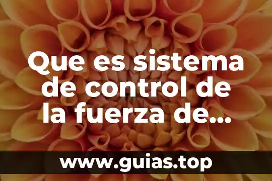 Que es un sistema de descanso 5 Que es sistema de control de la fuerza de venta