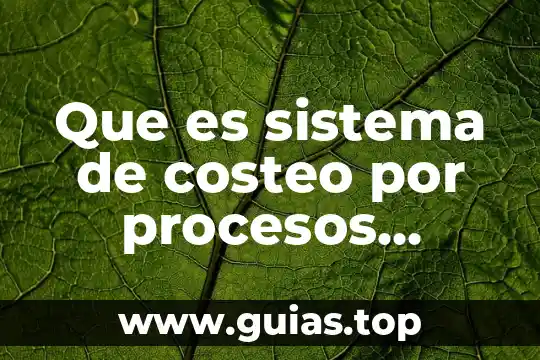 Que es prestamos productivos 6 Que es sistema de costeo por procesos productivos