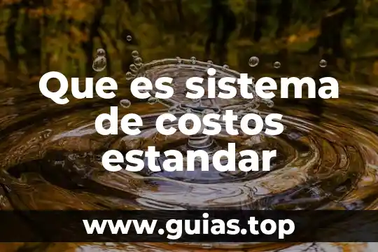 Para que es el examen de bilirrubina directa 7 Que es sistema de costos estandar