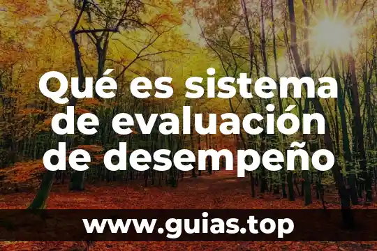 Que es examen de evaluacion del desempeño laboral 5 Qué es sistema de evaluación de desempeño