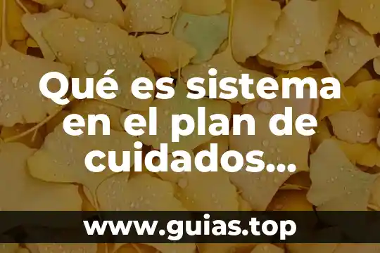 Qué es una clase concepto enfermeria 4 Qué es sistema en el plan de cuidados enfermeria