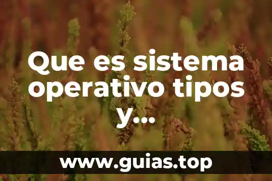Libros que hablen sobre que es cultura tipos caracteristicas etc 4 Que es sistema operativo tipos y caracteristicas