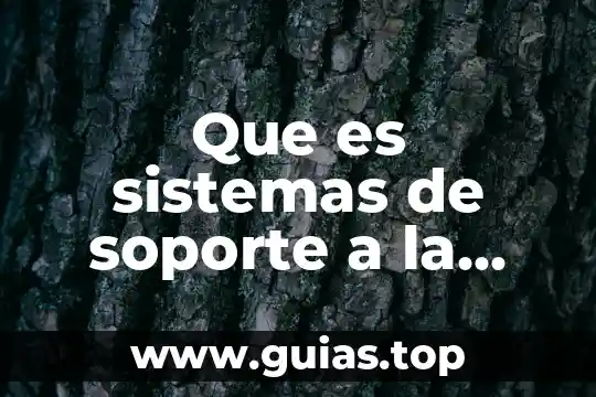 Que es asentamiento tipos 3 Que es sistemas de soporte a la decisión