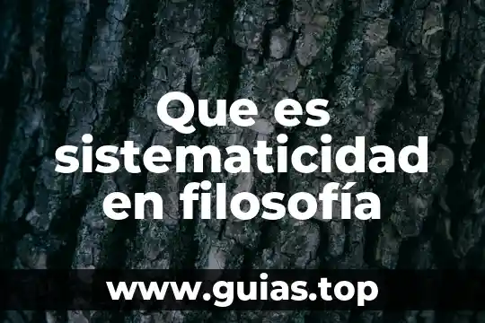 Que es el ser como sustantivo filosofia 3 Que es sistematicidad en filosofía