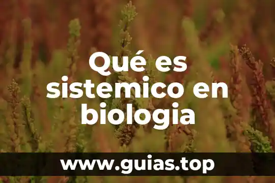 Que es necesidades y su tipos en economia 8 Qué es sistemico en biologia