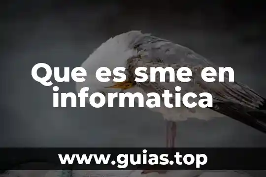 Que es la informatica en las redes 6 Que es sme en informatica