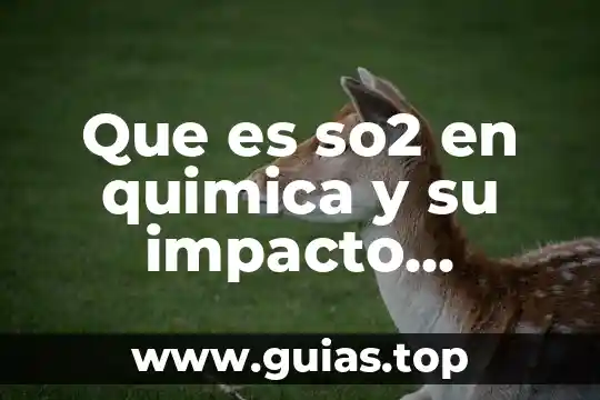 Que es fabulo en animal juego de agilizar mente 4 Que es so2 en quimica y su impacto ambiental