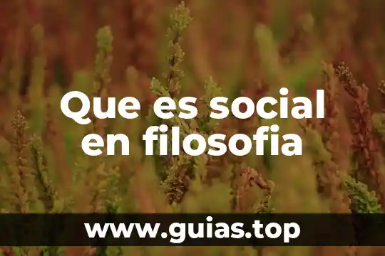 Que es percepcion de la realidad social 6 Que es social en filosofia