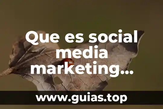 Que es deseo marketing 3 Que es social media marketing segun autores