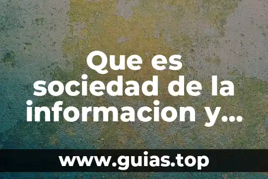 Qué es costo para la sociedad 6 Que es sociedad de la informacion y del conocimiento