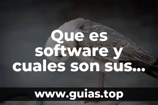 Qué es filosofía y cuáles son sus características 3 Que es software y cuales son sus elementos
