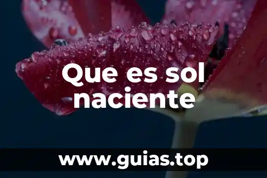 Que es un glifo sol 4 Que es sol naciente