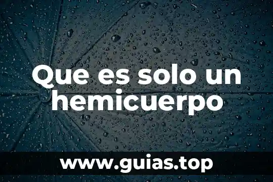 Animal que es mejor solo que en manda 4 Que es solo un hemicuerpo