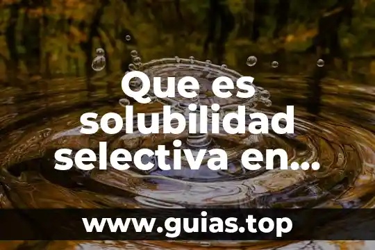 Que es la quimica organica shulpin quinrto sol 4 Que es solubilidad selectiva en quimica