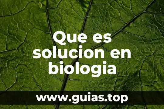 Que es el proyecto de solucion 4 Que es solucion en biologia