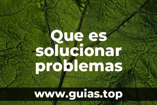 Que es la peticion de problemas 6 Que es solucionar problemas