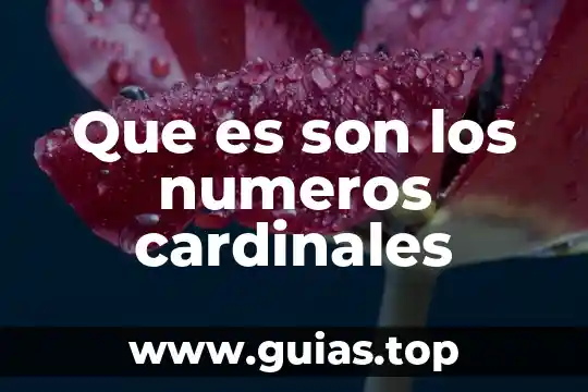 Qué es ordenar números 6 Que es son los numeros cardinales
