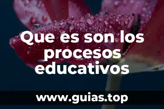 Que es un mapa de procesos iso 9001 7 Que es son los procesos educativos
