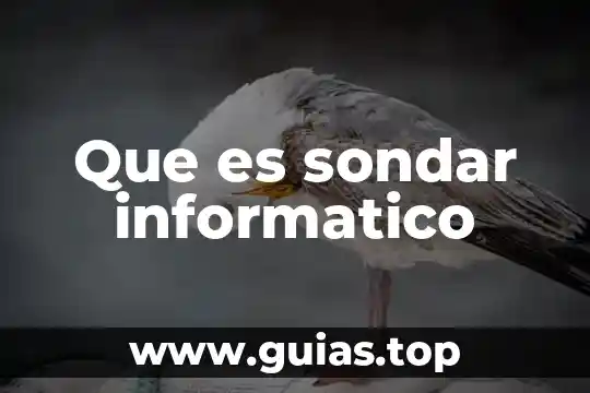 Que es sondar informatico
