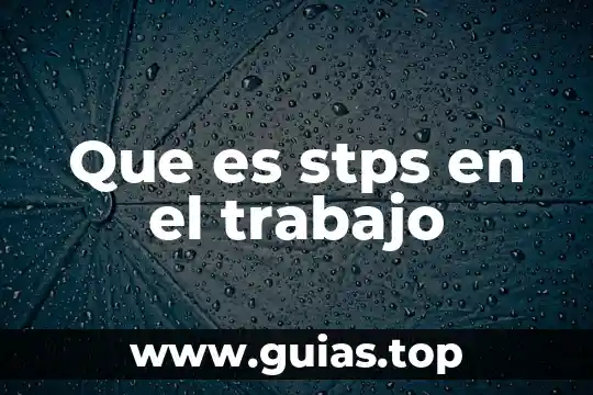 Que es un trabajo de ensayo 7 Que es stps en el trabajo