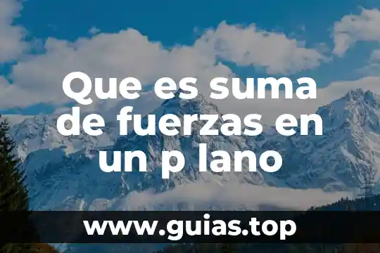 Que es campo de fuerzas 3 Que es suma de fuerzas en un p lano