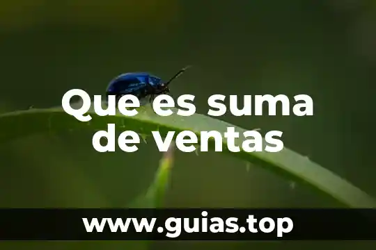Que es una organizacion de ventas 5 Que es suma de ventas