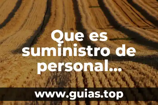 Que es suministro y sanemiento de agua 5 Que es suministro de personal permanente