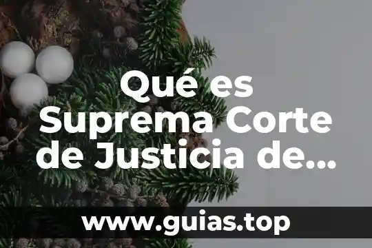 Que es capacidad segun la suprema corte de justicia 4 Qué es Suprema Corte de Justicia de la Nación Constitucional