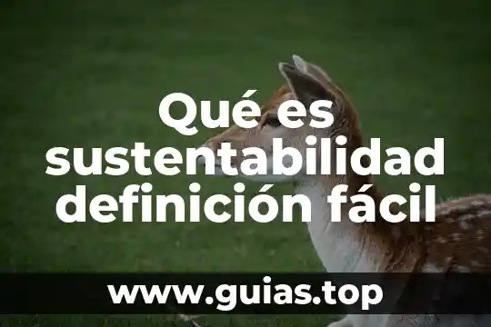 Lenguaje oral y escrito que es mas fácil de comprender 8 Qué es sustentabilidad definición fácil