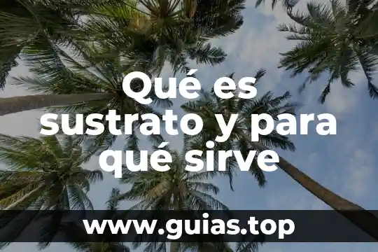 Qué es patronímico en literatura 5 Qué es sustrato y para qué sirve