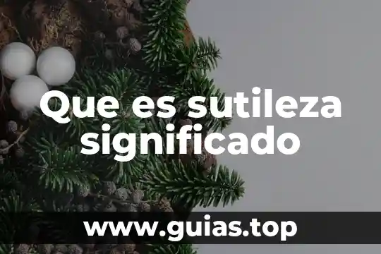 Que es un significado compuesto 8 Que es sutileza significado