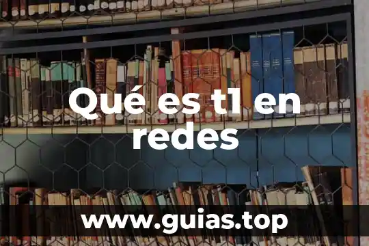 Que es cobit en redes 3 Qué es t1 en redes