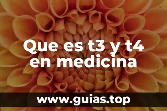 Qué es una abrazadera en medicina 6 Que es t3 y t4 en medicina