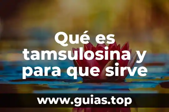 Concepto de que es la informática 7 Qué es tamsulosina y para que sirve