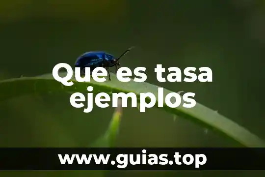 Que es la tasa de valores 3 Que es tasa ejemplos