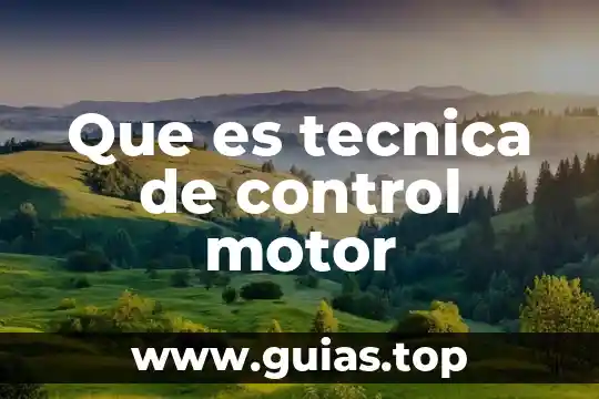 Que es tecnica de control motor