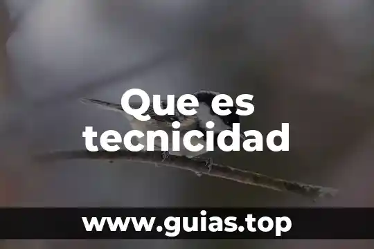 Que es un relacionismo 3 Que es tecnicidad