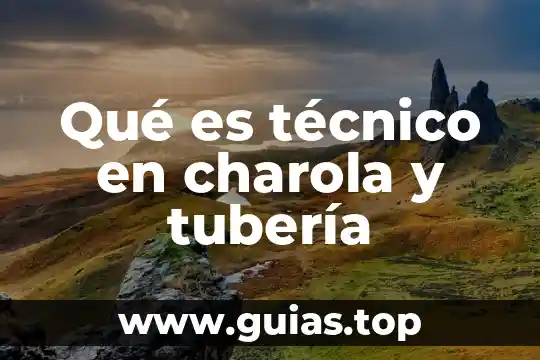 Concepto tecnico de que es lengua 5 Qué es técnico en charola y tubería