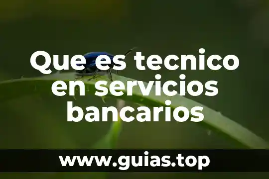 Que es requerimiento tecnico 5 Que es tecnico en servicios bancarios