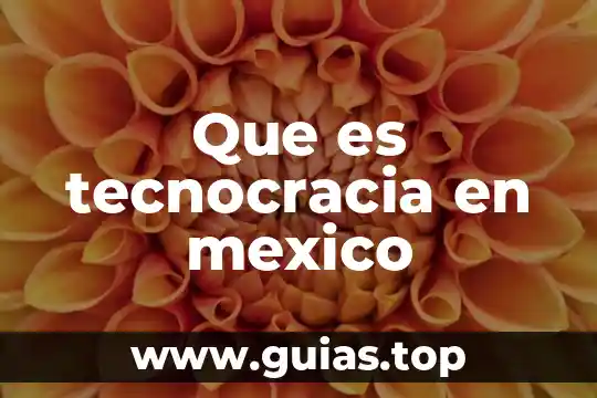 Que es el testamento maritimo en mexico 4 Que es tecnocracia en mexico