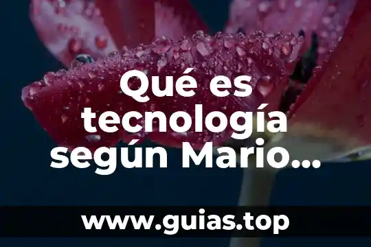 Qué es criticar según la filosofía 5 Qué es tecnología según Mario Bunge