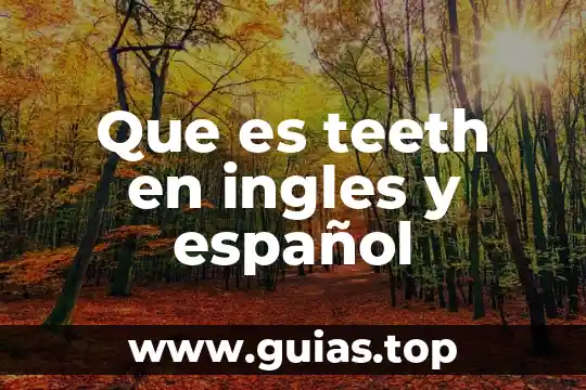 Que es peppa pig en ingles 3 Que es teeth en ingles y español