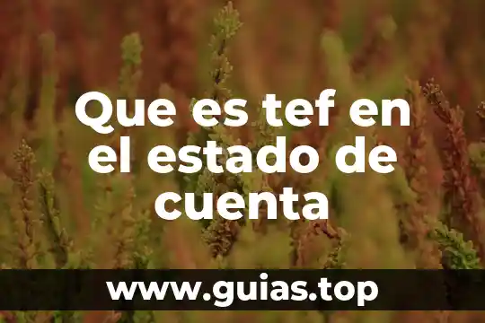 Estado mexicano que es concepto 5 Que es tef en el estado de cuenta