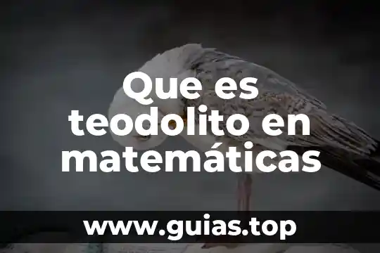Qué es este símbolo en matemáticas 7 Que es teodolito en matemáticas